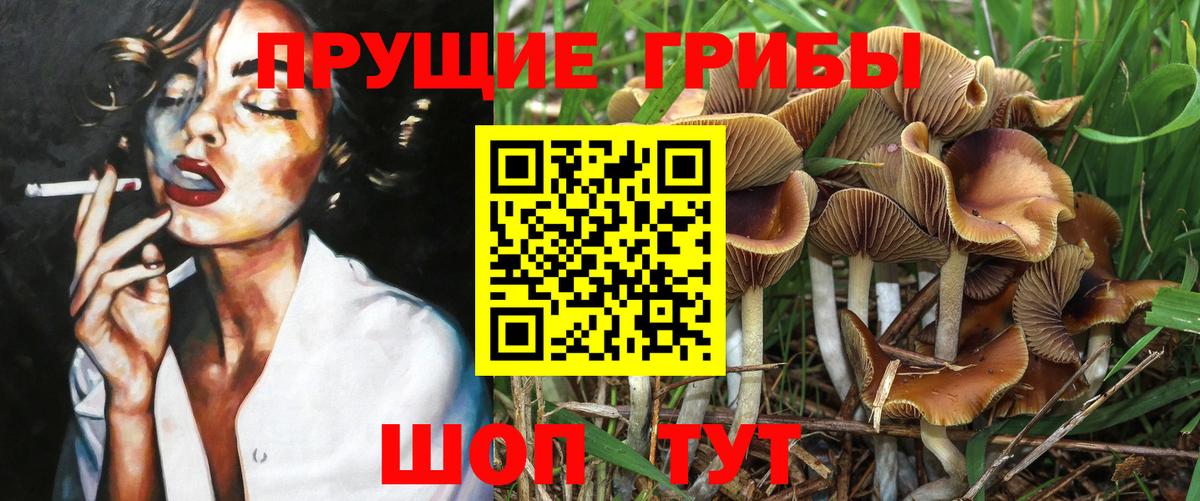 Галлюциногенные грибы мицелий Ухта