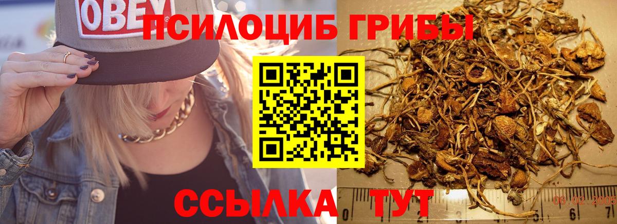 Ухта  продажа наркотиков  Вход с VPN  Псилоцибиновые грибы Cubensis 